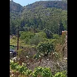 Stefanos 迈伊斯蒂